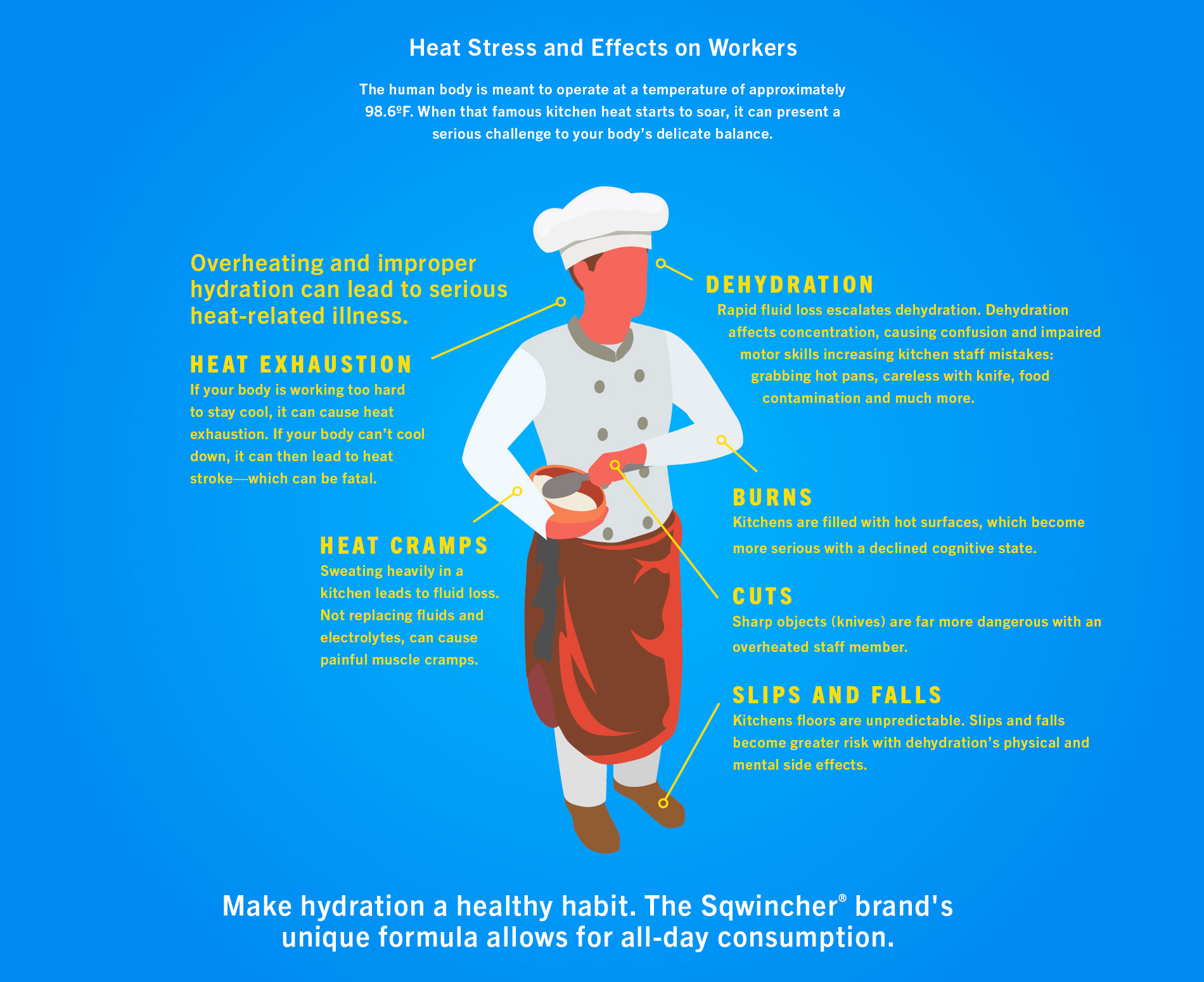 Chef infographic